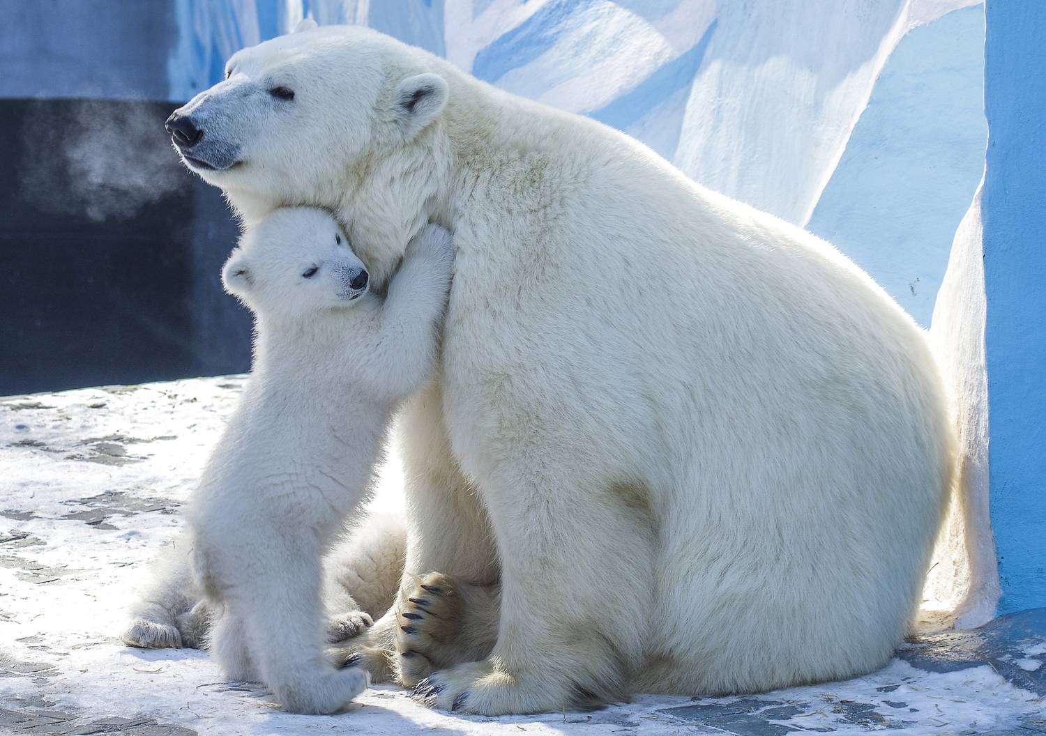 , Михаил Измайлов