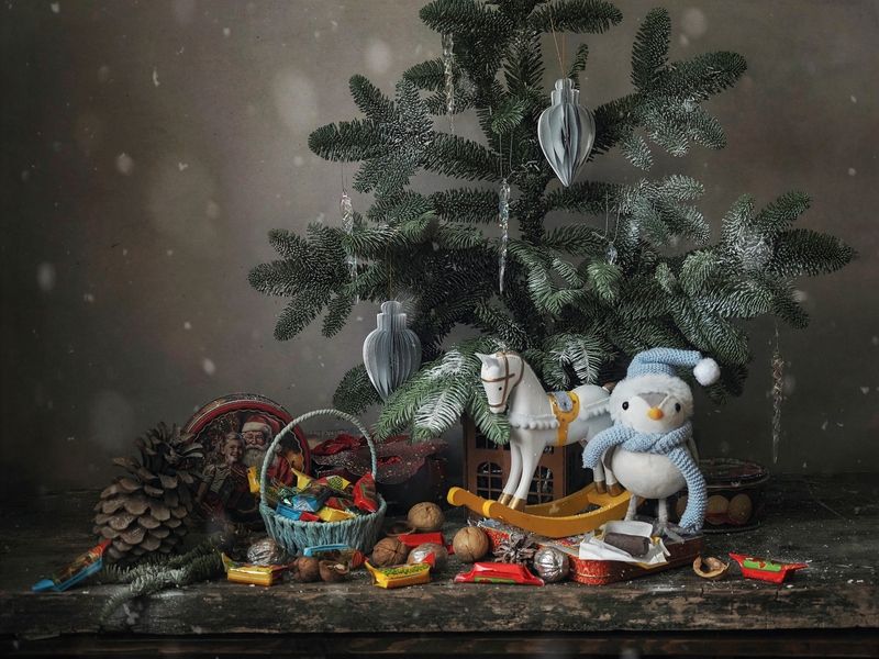 А весёлые зверушки мой перевернули дом)))) фото превью