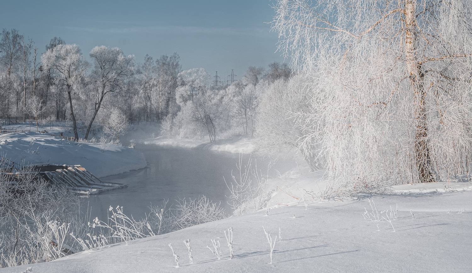 , Анатолий Зверев