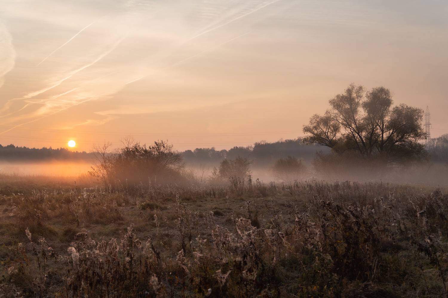 Владимир, город Владимир, природа Владимира, Владимирская область, туман, Кормашова Татьяна