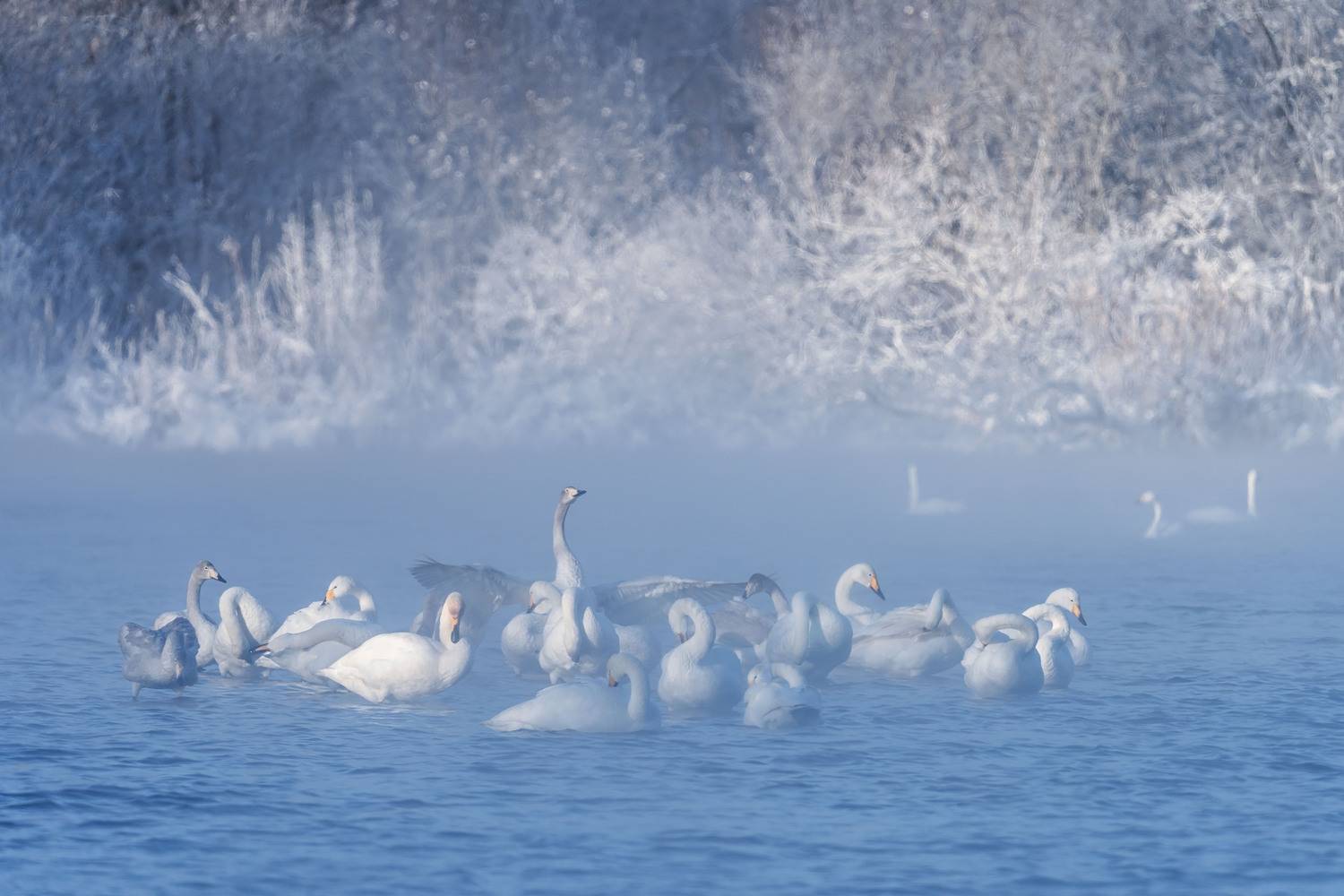 , Важенин Евгений