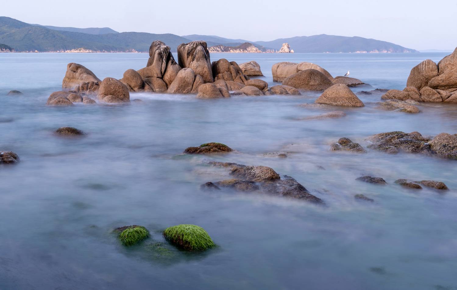  Россия, Приморский край, Приморье, Японское море, бухта Ежовая, Гаврилов Юрий