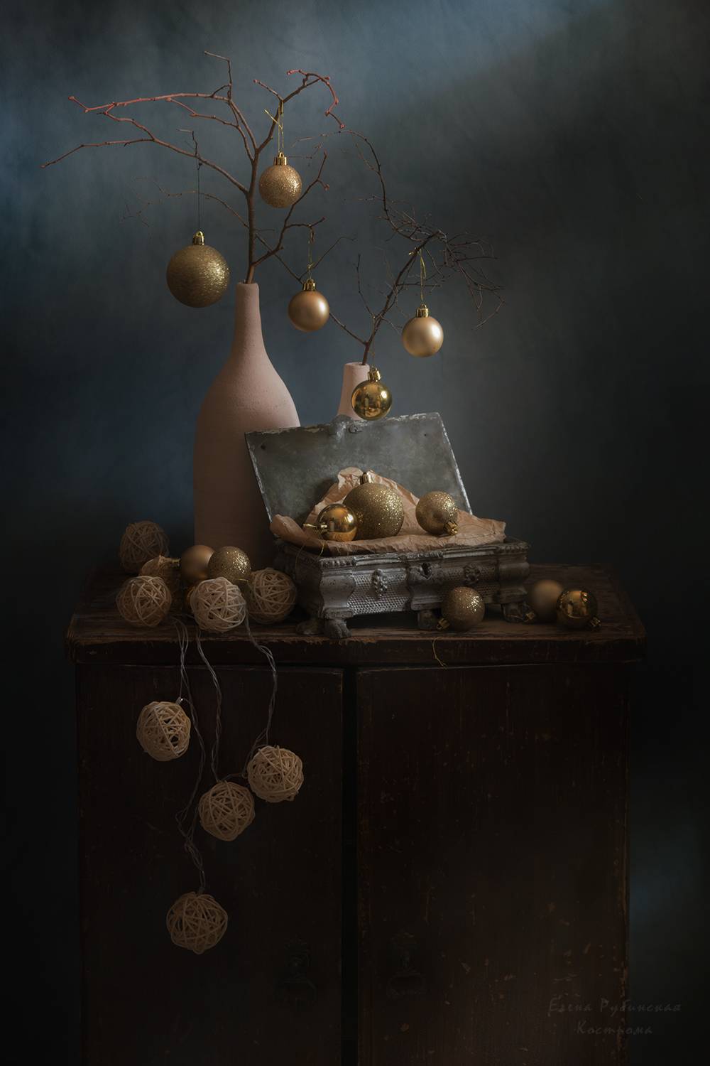 , Елена Рубинская