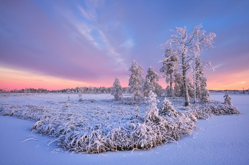 Смена сезона... фото превью