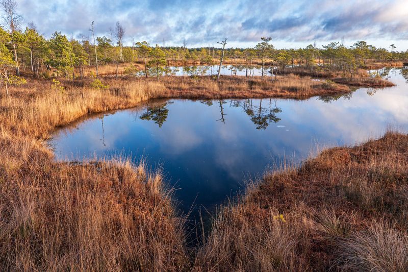 Яркое утро фото превью