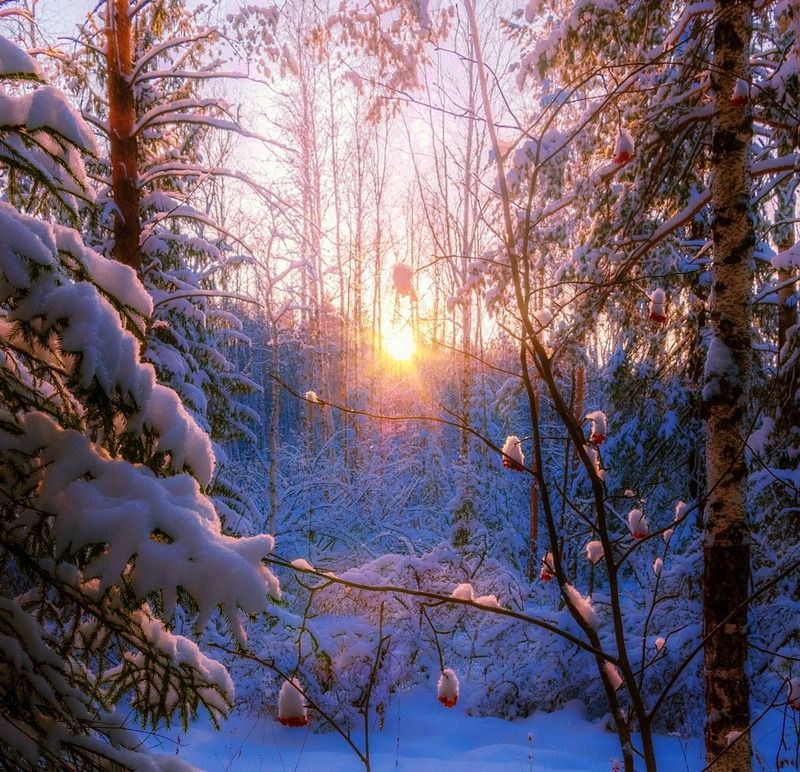 вечерняя открытка фото превью