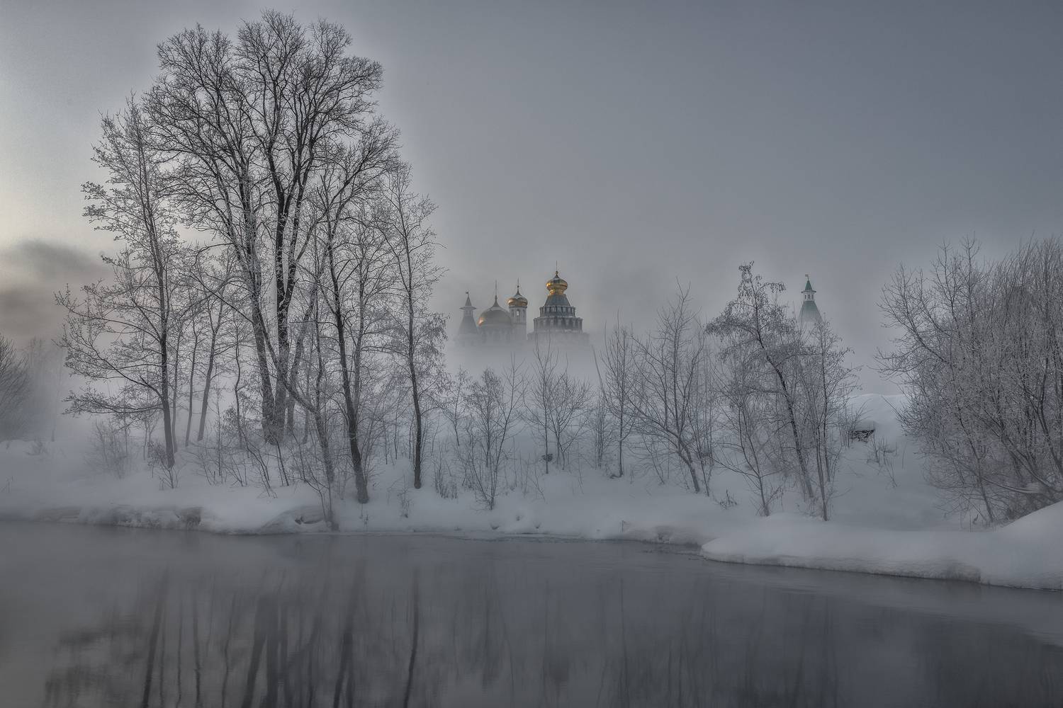 Истра, Гусева Елена