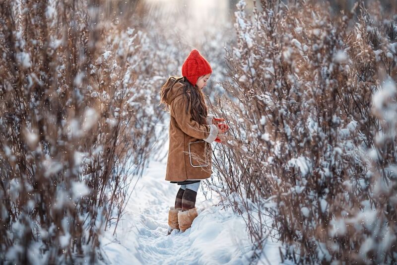 фото превью