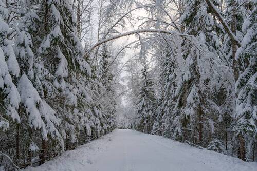 Зимушка зима