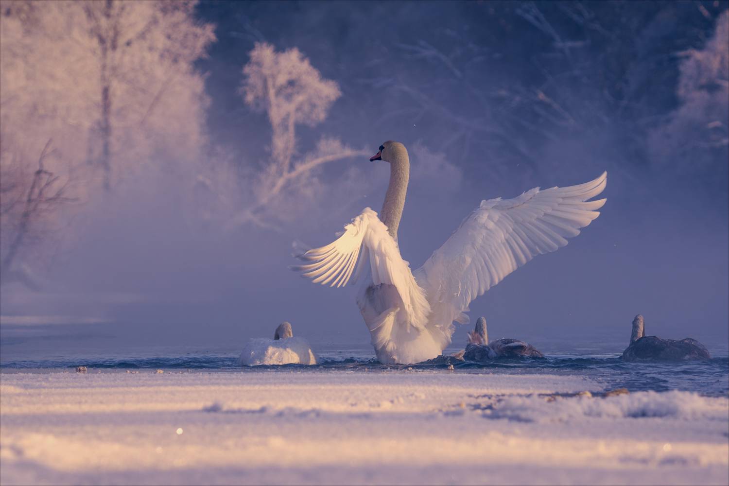 , Богорянов Алексей