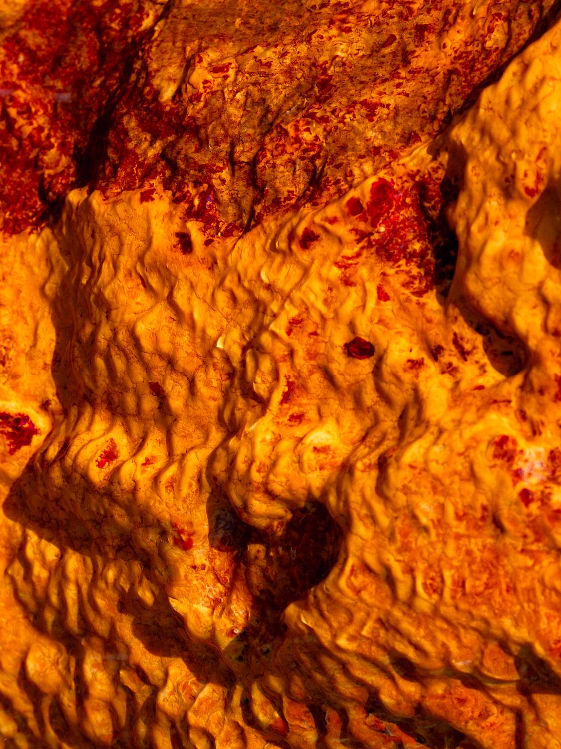 , Вукотић Никола