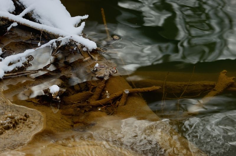 зима, лес, утро, ручей Зимний ручей фото превью