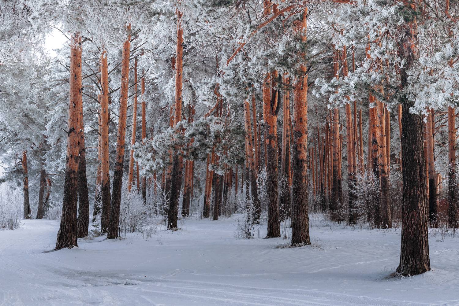 , Малыгин Андрей