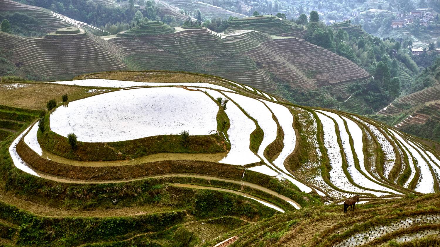 , Низовцев Сергей