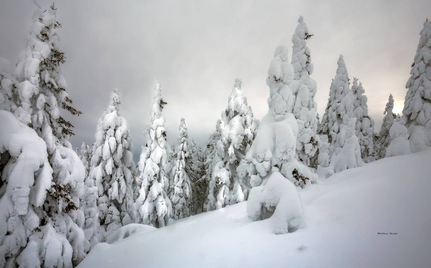 , Евдокимов Сергей