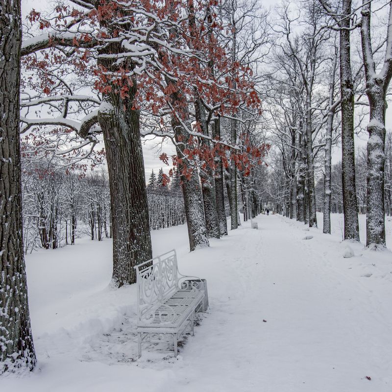 *** фото превью