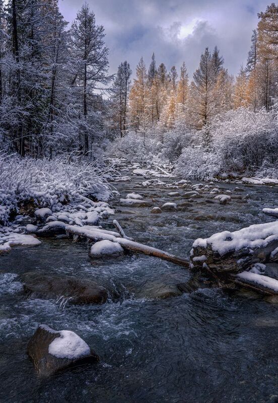 #джазатор #осень алтай #горы #речки Предзимье на Алтае. фото превью