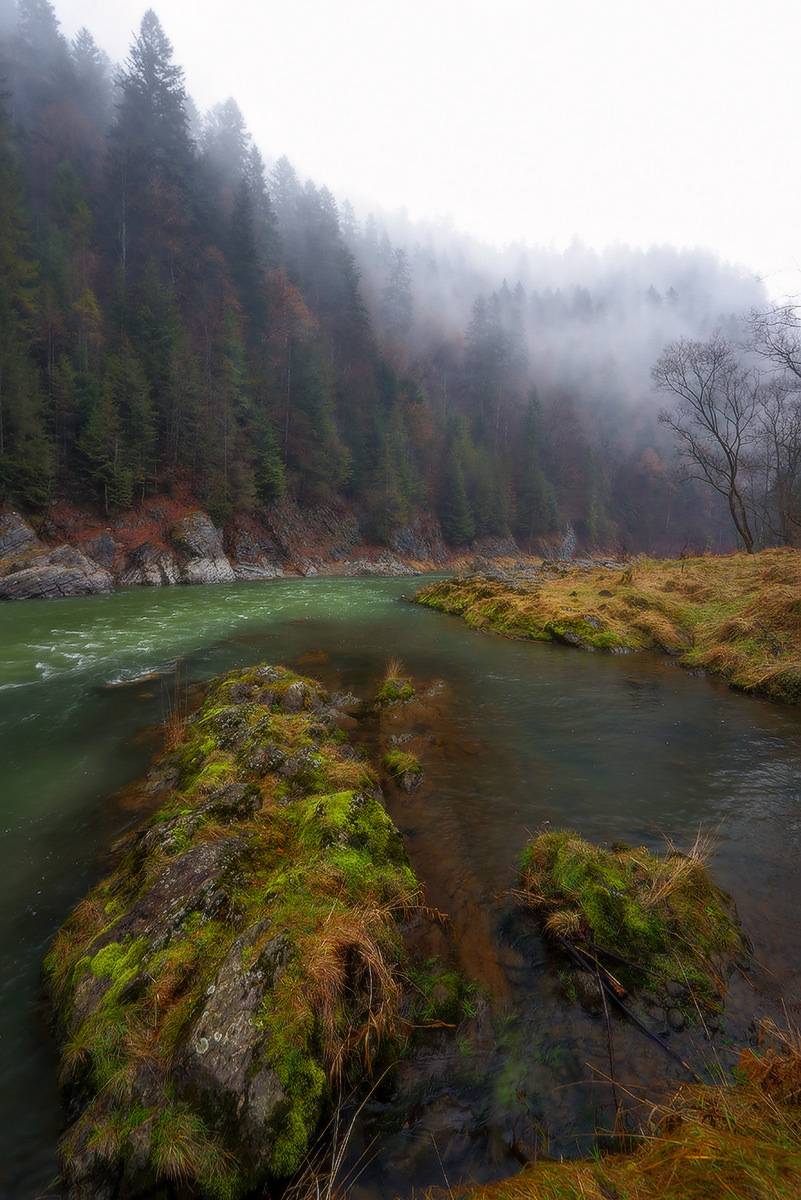 щавница зима река дунаец, Петриченко Валерий
