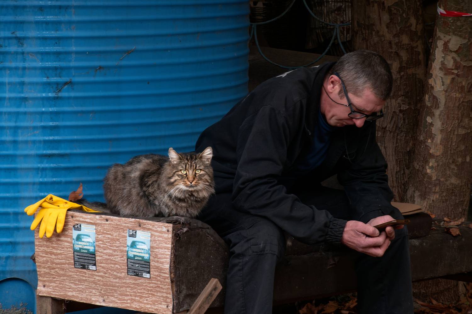 , Какоткин Роман