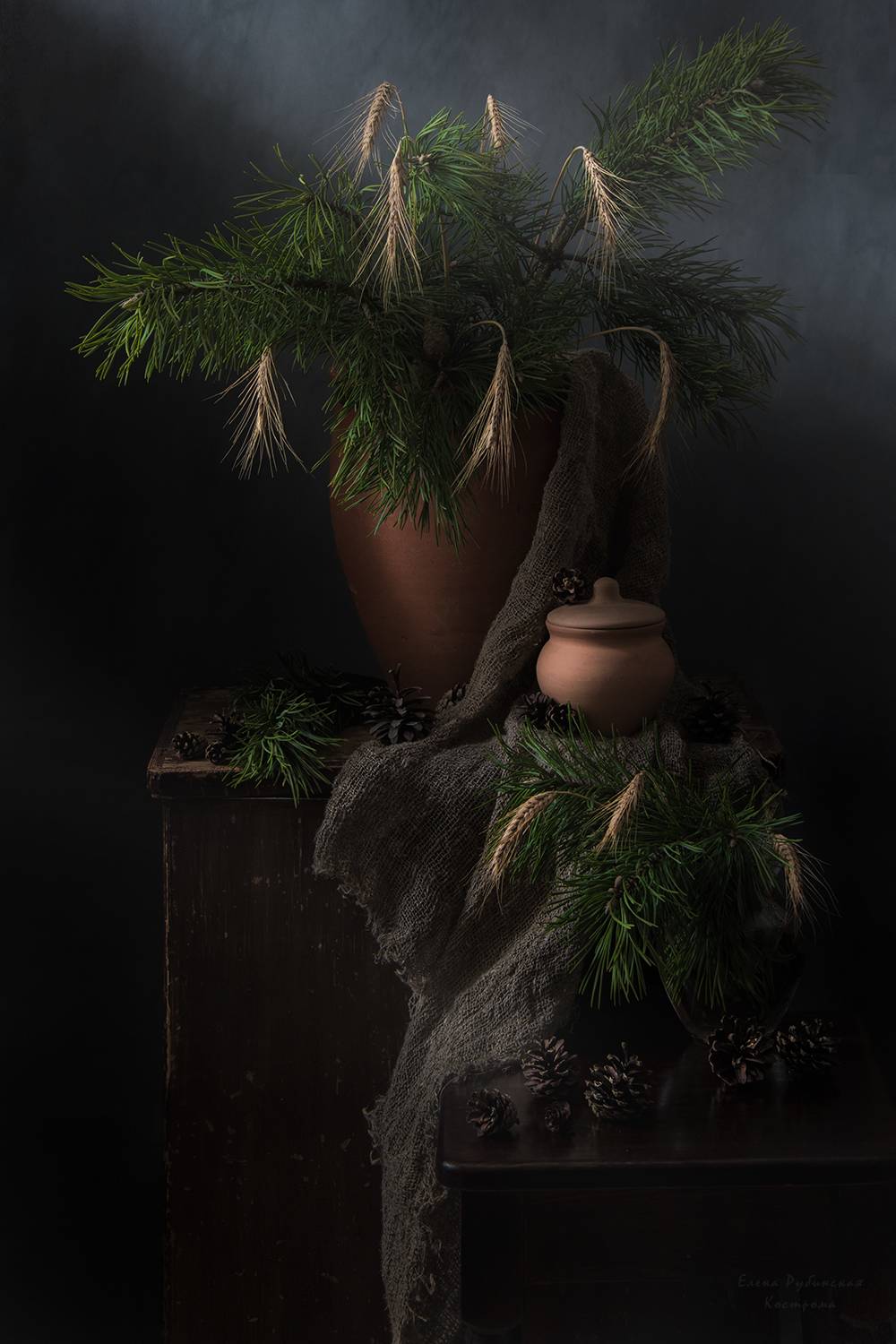 , Елена Рубинская