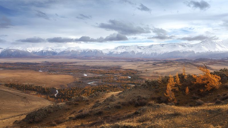 Курайская степь фото превью