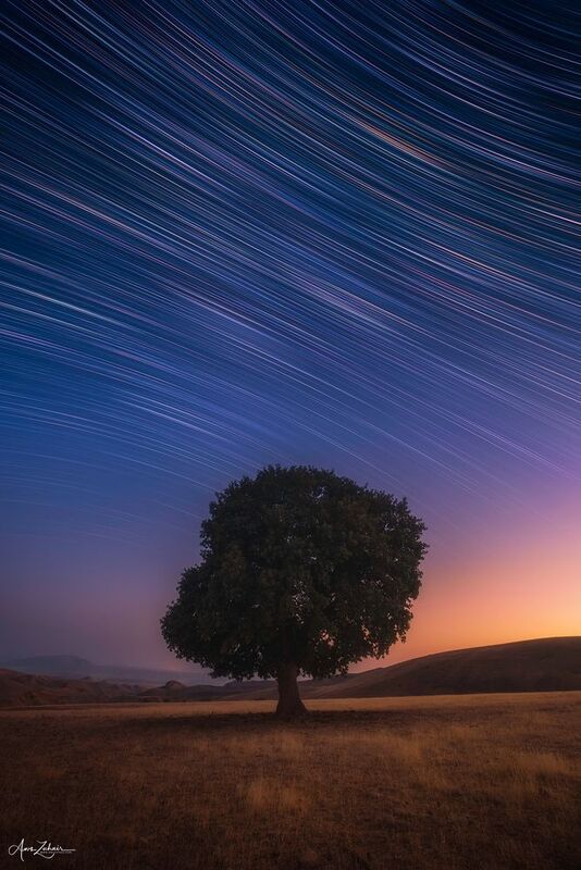 startrails The Lonely Tree фото превью