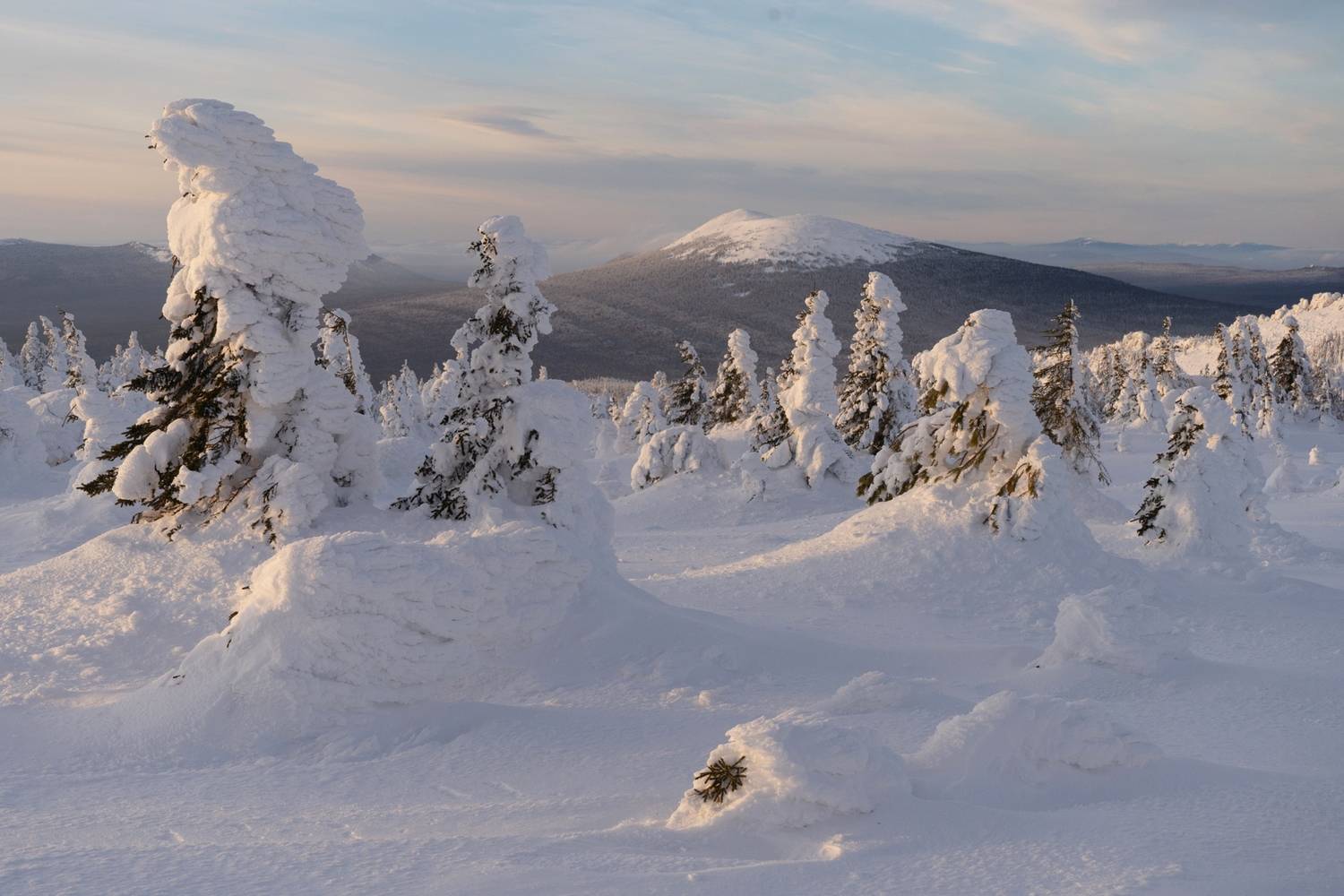 , Михаил Рева