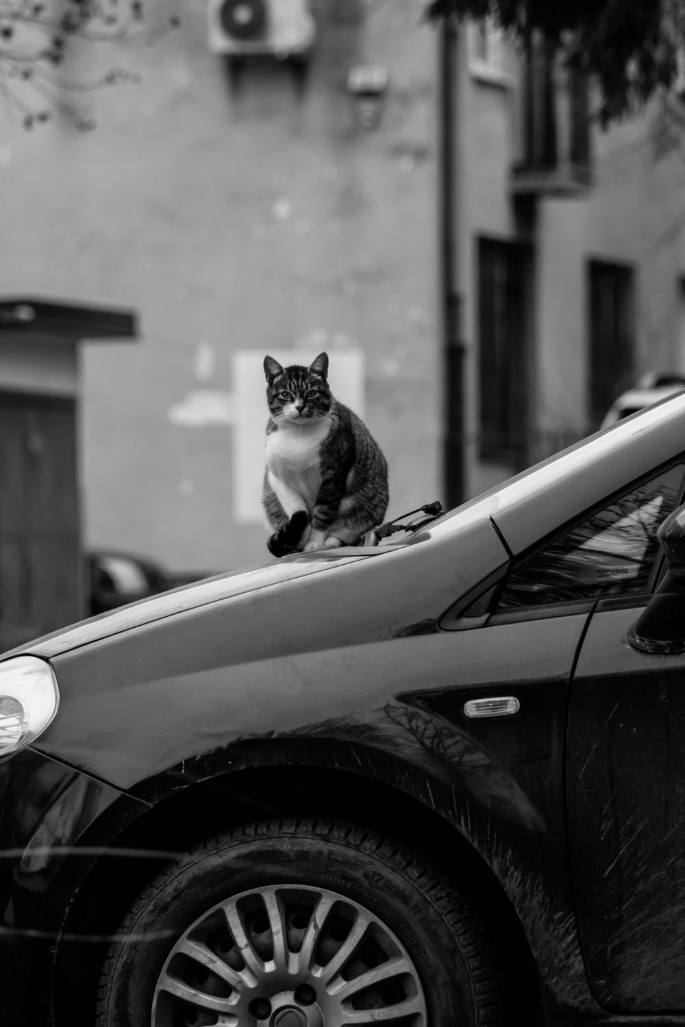 , Шилов Александр