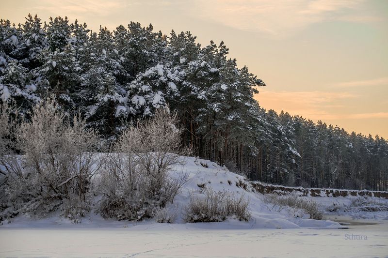 зима лес река природа пейзаж Лес на берегу Оки. фото превью