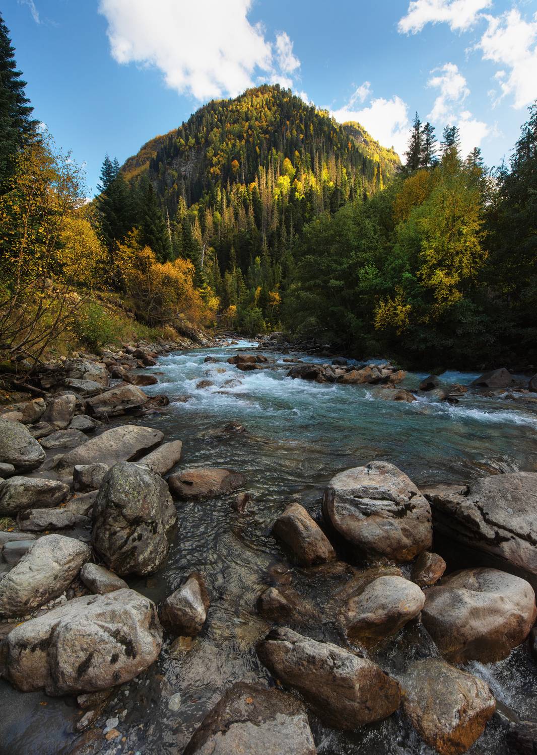 горные реки кавказа, Альбина Колодяжная