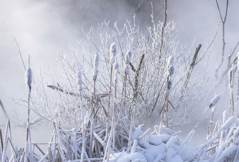 Зима фото превью