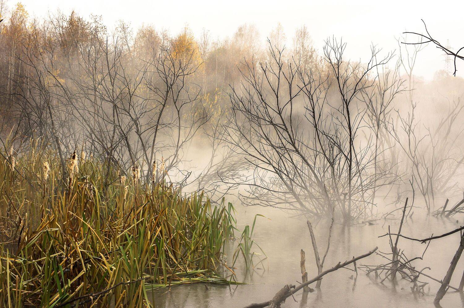 , Михаил Измайлов