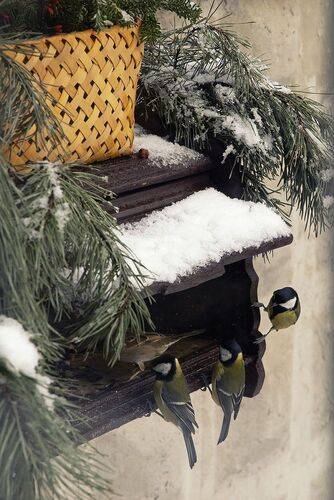 Новогодняя кормушка