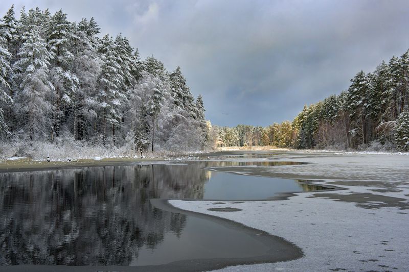 Там в далеке фото превью