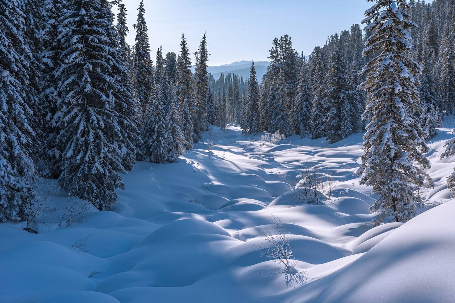 ергаки, река, буйба, светлый, камни,  валуны, снег,  зима, кедры, закат, солнце, вечер, ели, сугробы, мороз, Мальцев Юрий