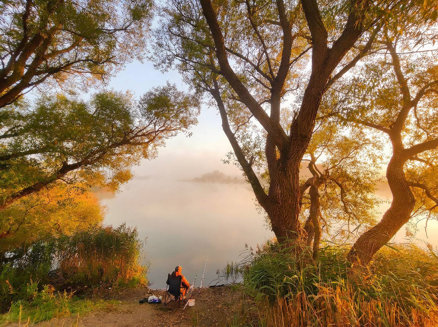 осень, октябрь, утро, рассвет, вода, озеро, туман, рыбалка, беларусь, ива, камыш, рогоз, Вейзе Максим