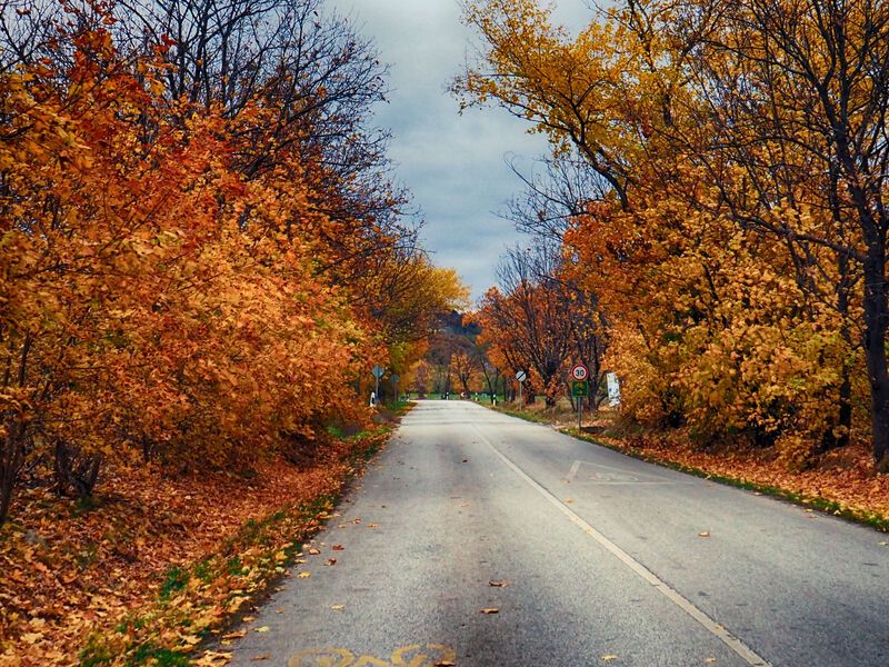 Autumn road фото превью