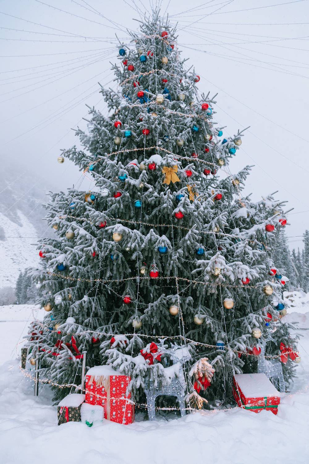 кыргызстан, ала-арча, Элина Магалимова