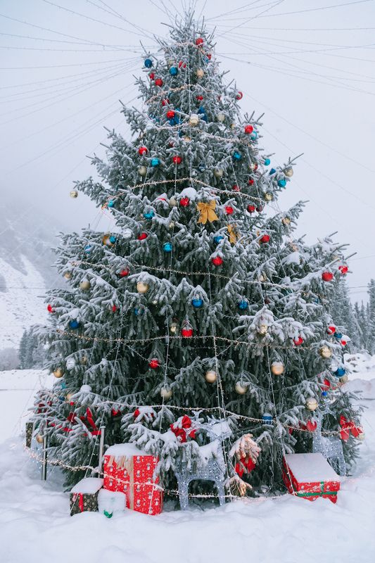 кыргызстан, ала-арча В ожидании бала фото превью