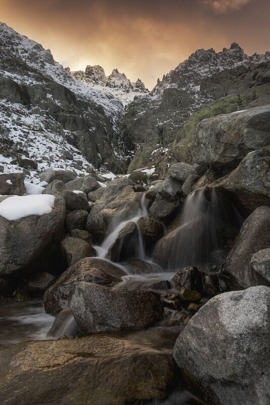 Romulus фото превью