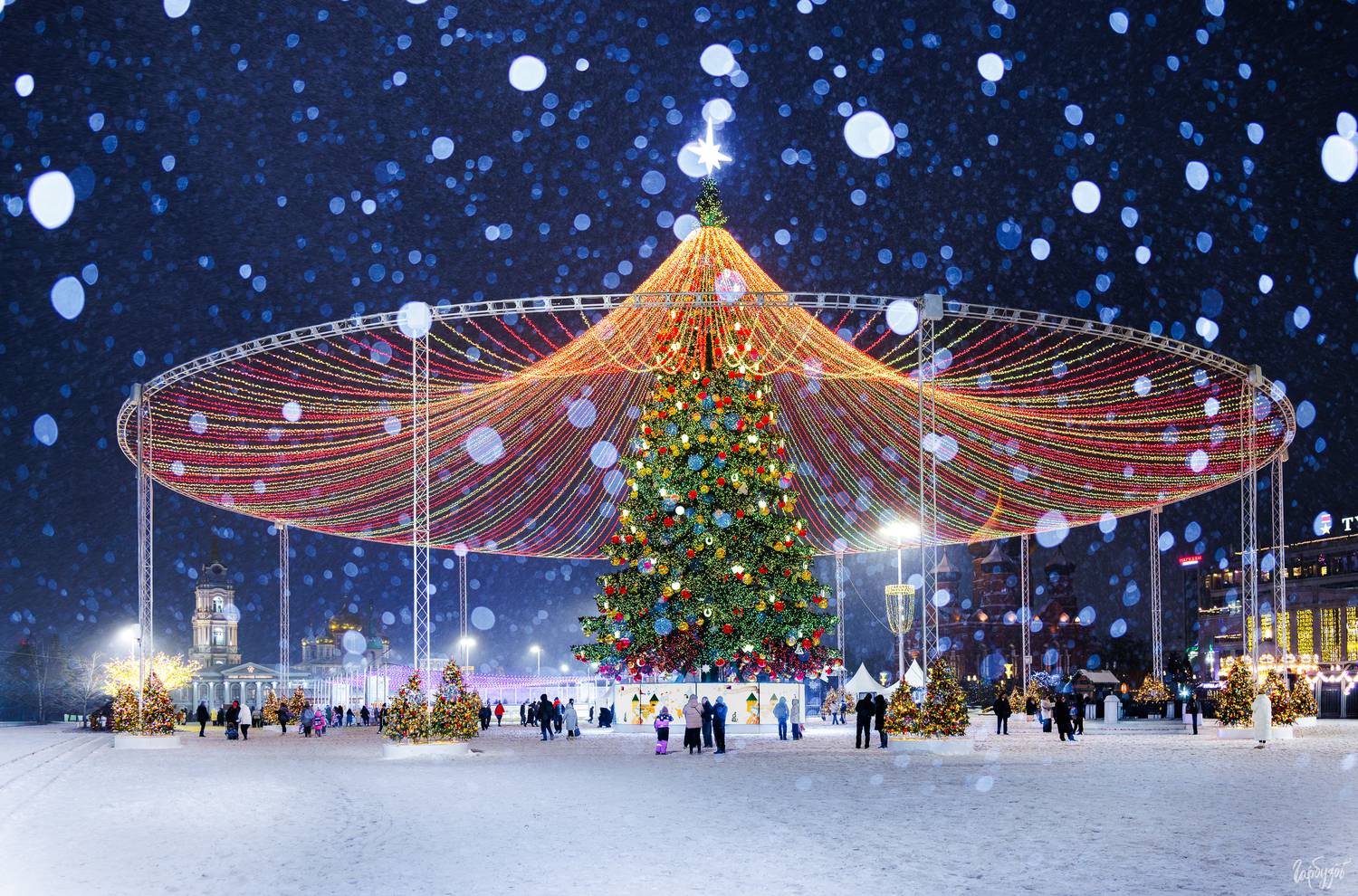 , Гарбузов Илья