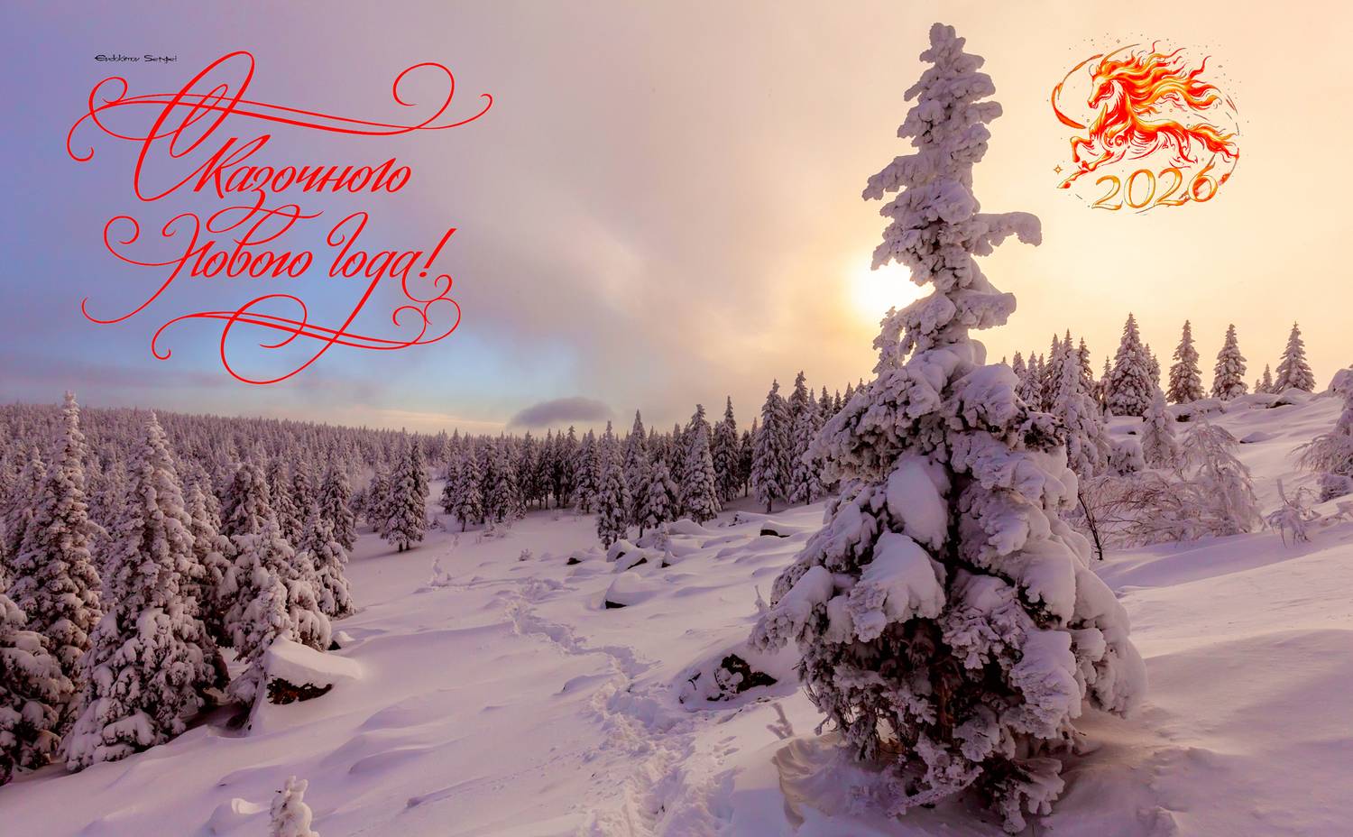 , Евдокимов Сергей