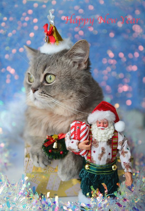 С наступающим Новым годом фото превью