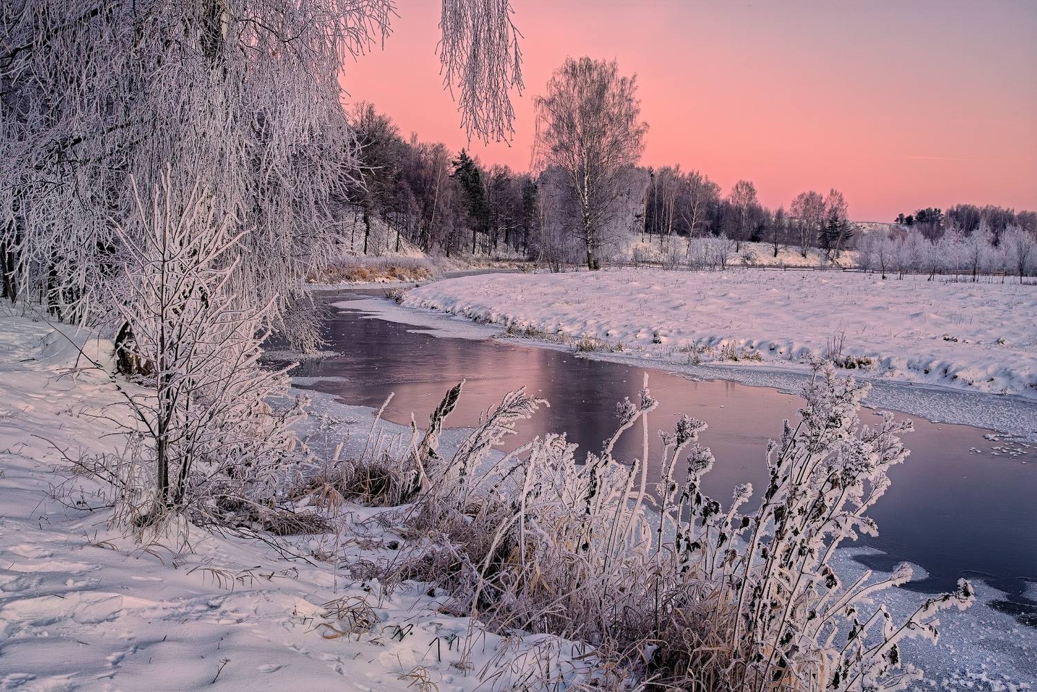 , Евгений Ерохин