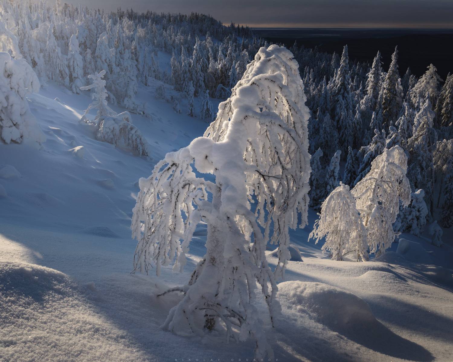, Обухов Николай