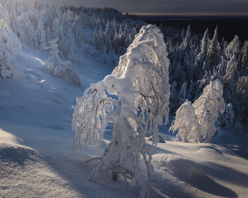 *** фото превью