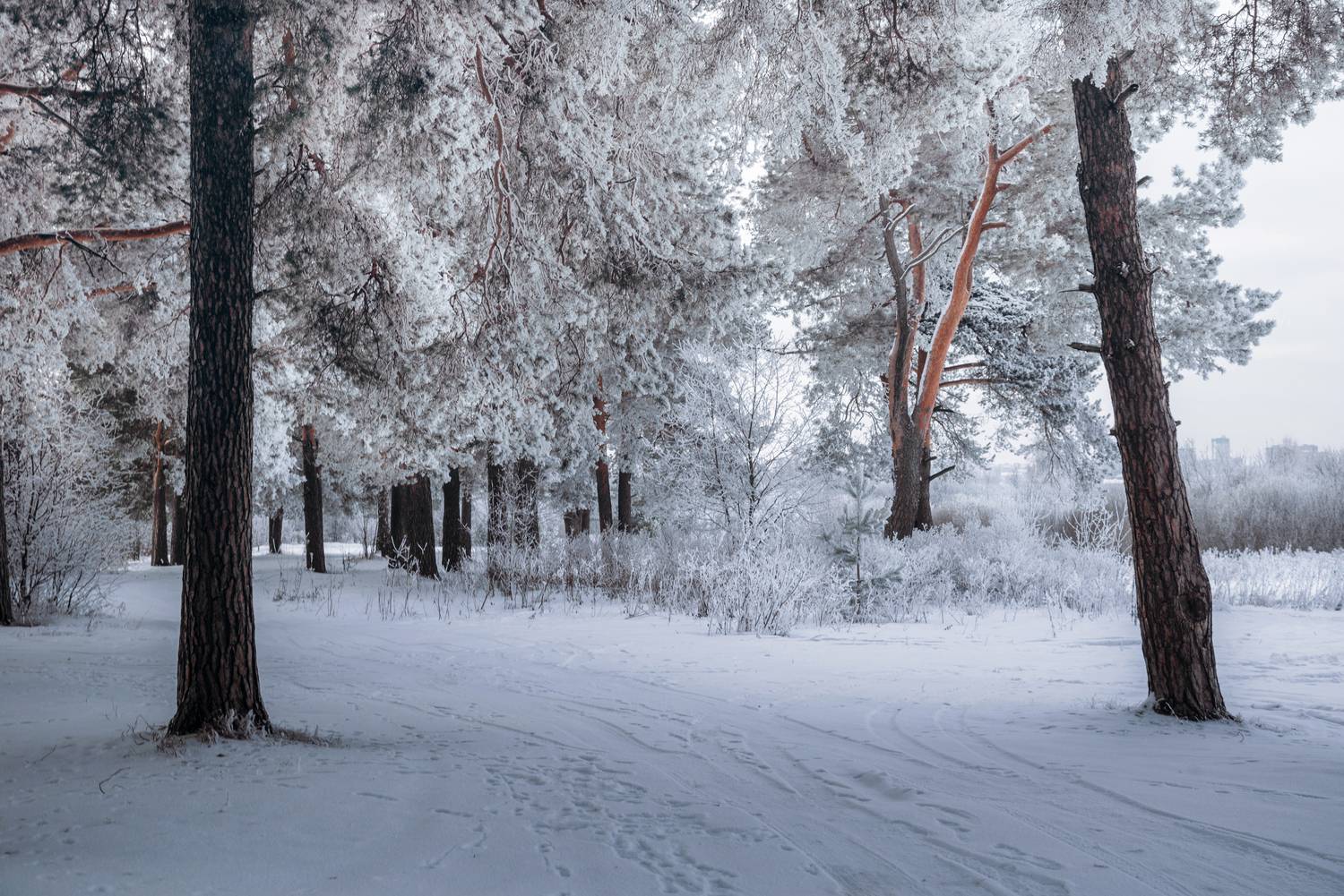 , Малыгин Андрей