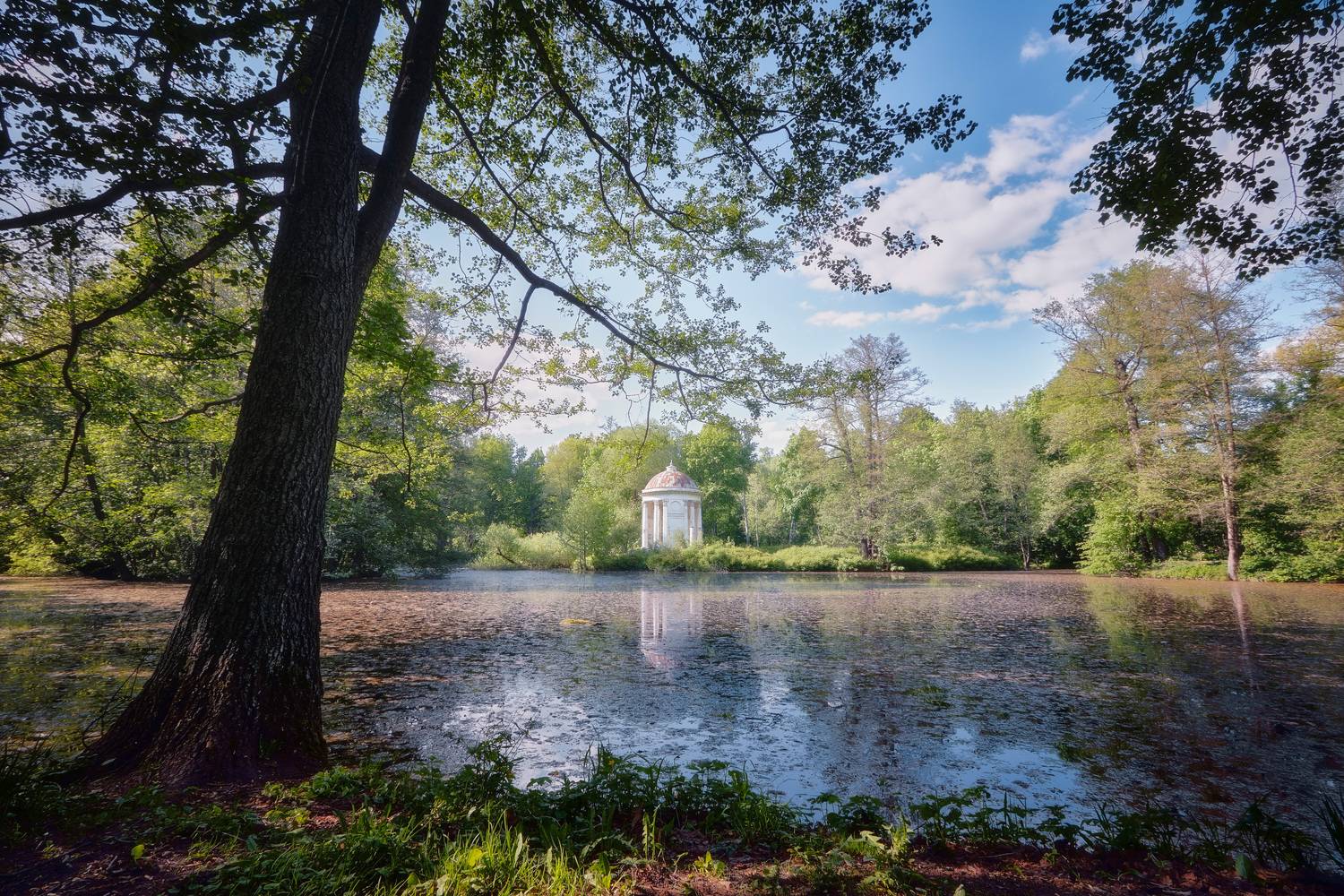 ротонда, парк, Валерий Вождаев