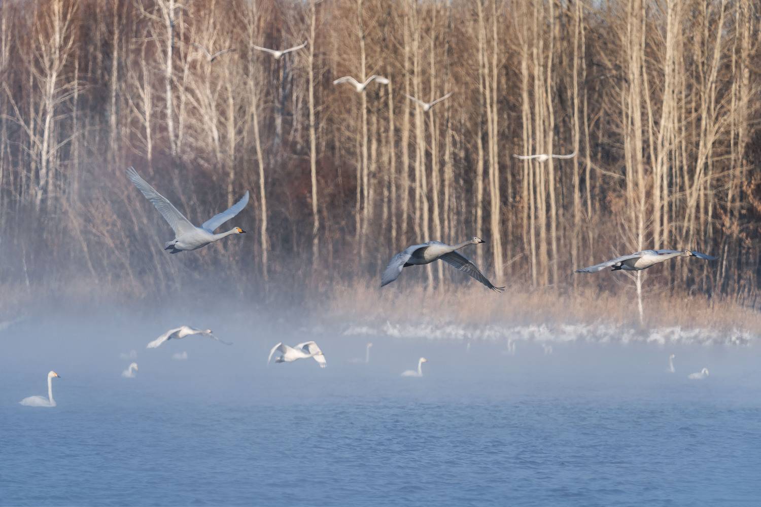 , Важенин Евгений