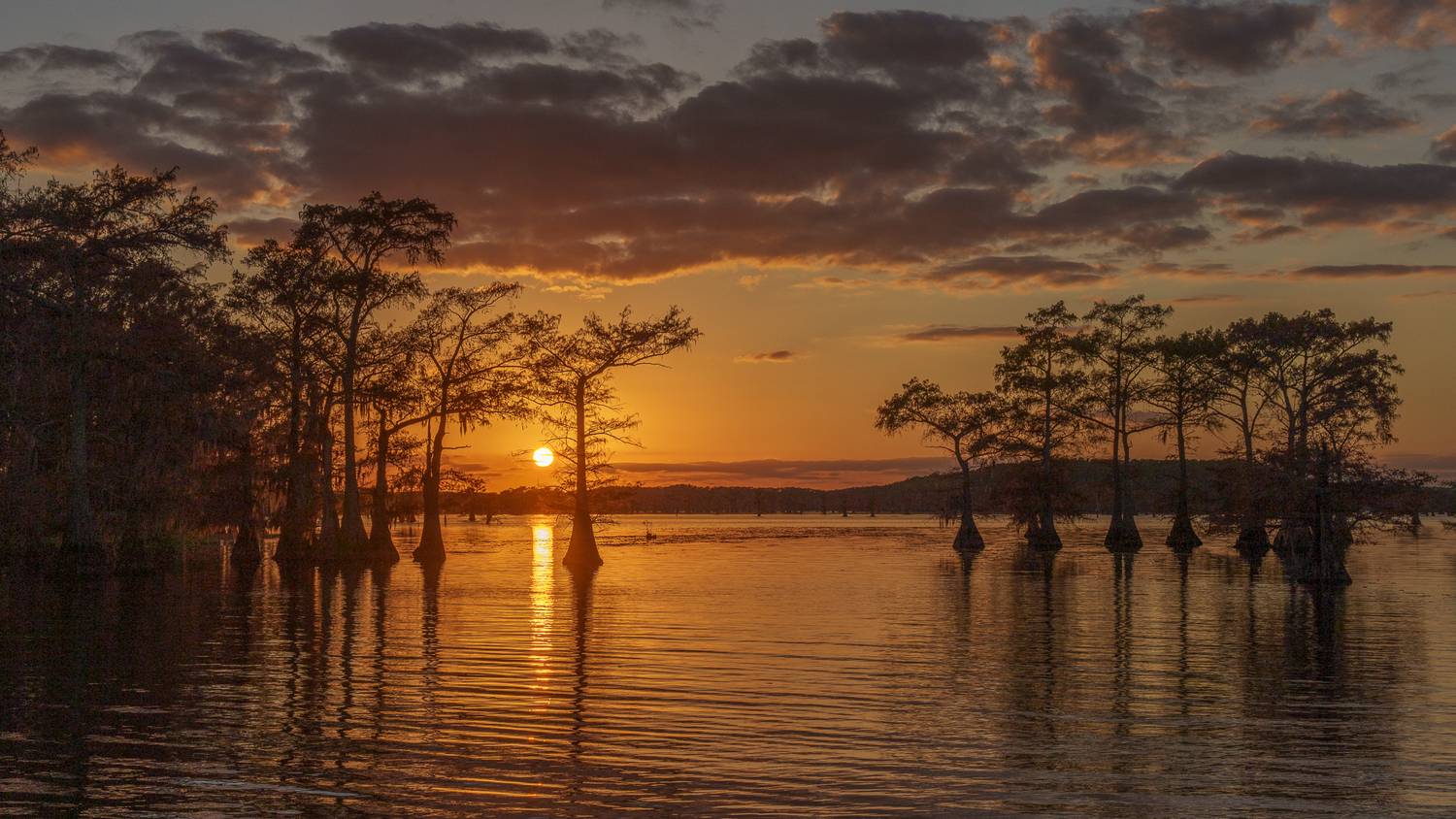 caddo lake, sunrise, golden glow, Angie Birmingham